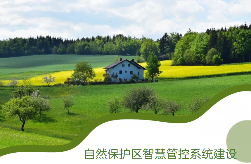 自然；；；；；で腔酃芸叵低辰ㄉ 